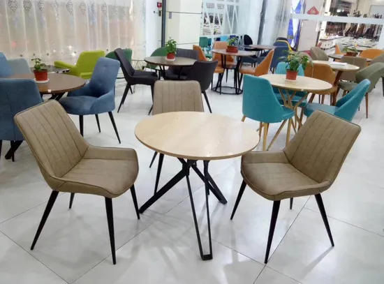 Public Area Leisure Rotating Sofa Chair Accent Dining Chair 