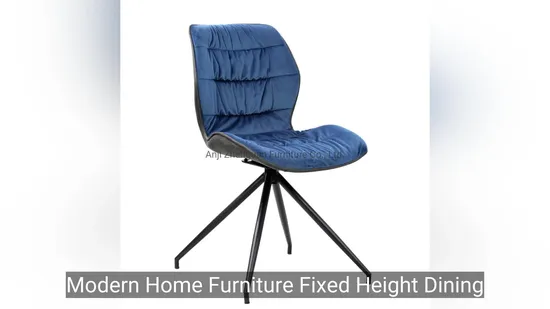 Modern Home Furniture Fixed Height Dining Chair with Rotating Function (ZG23